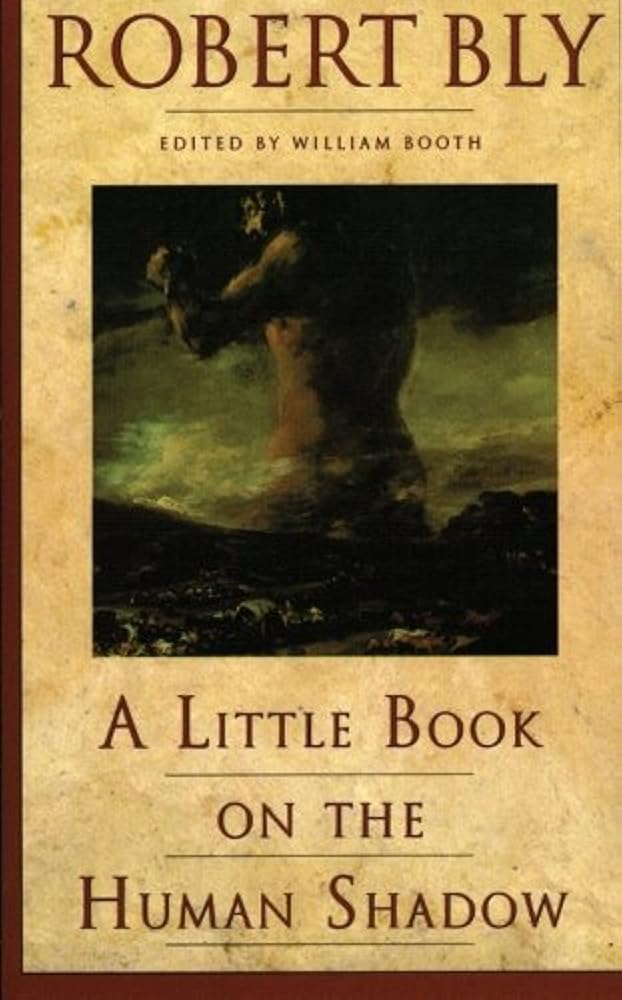 A Little Book on the Human Shadow: A Poetic Journey into the Dark Side of the Human Personality, Shadow Work, and the Importance of Confronting Our Hidden Self cover image